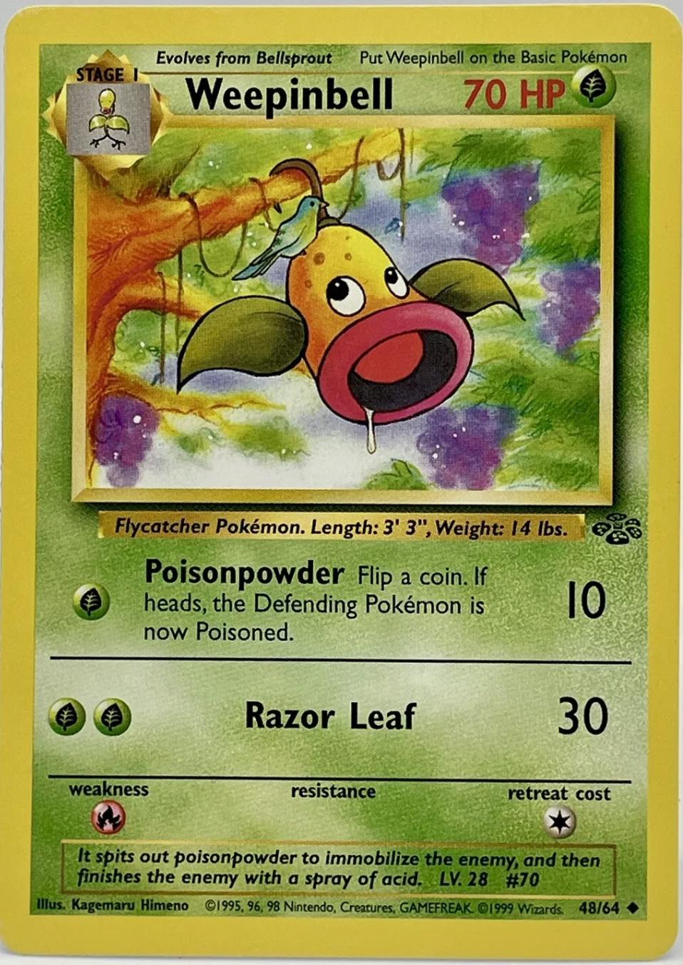 Weepinbell - Jungle 48/64